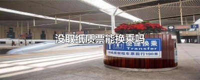 ​无需换取纸质车票可以取票吗 乘车以后还能取纸质票