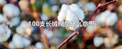 ​100支和160支长绒棉 100支长绒棉厚吗