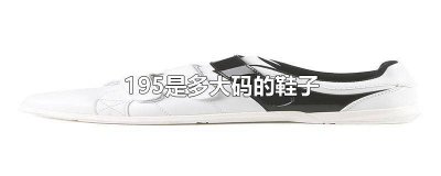 ​195是多少码鞋子 鞋子195是多少码