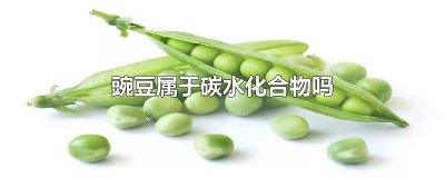 ​豌豆是碳水么 豌豆是碳水化合物