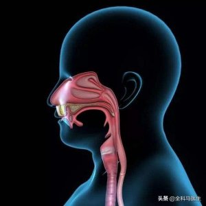 ​嘴里有苦味怎么办(酿出来的酒有苦味怎么办)