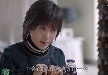 苍蝇粉是什么意思?苍蝇粉是什么东西? 苍蝇粉是什么意思?苍蝇粉是什么东西?