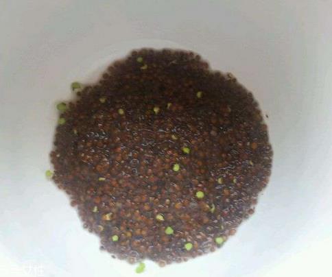 海藻面膜能祛痘印吗?海藻面膜加什么去痘? 海藻面膜能祛痘印吗?海藻面膜加什么去痘?