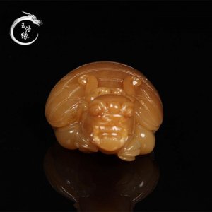 ​龙头龟身是什么神兽（为何说龙龟是学霸级的瑞兽）