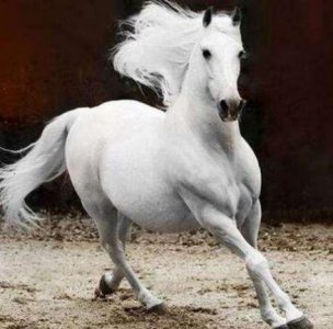 ​蜀汉的步兵为什么打得过曹魏骑兵 蜀国步兵本身并不强悍