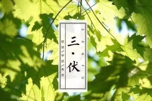 伏天怎么去湿气寒气 伏天去湿气喝什么好