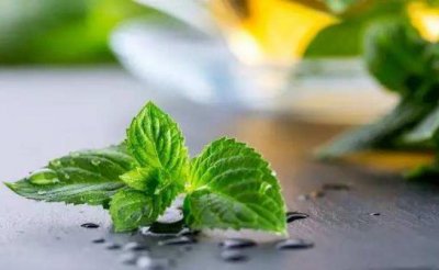 ​国外护理人员提供的生活妙招 薄荷味可以除臭
