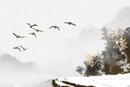 如何处理与女朋友的争吵,化解矛盾并维持健康的关系