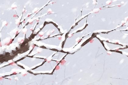 如何处理与女朋友的争吵,化解矛盾并维持健康的关系