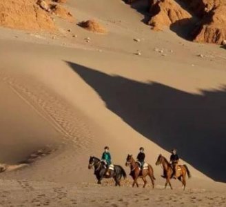 ​世界“干极”环境如何？年降水量有多少？