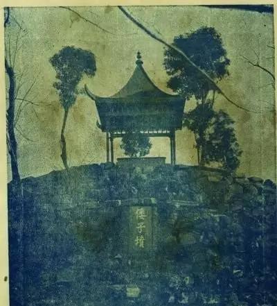 古代坑杀并非就是活埋，手段比活埋残忍许多，这是个知识点