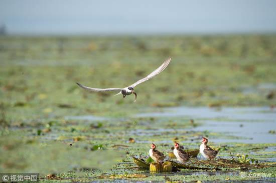 自驾去哪玩?山东推十大精品自驾游线路邀你打卡