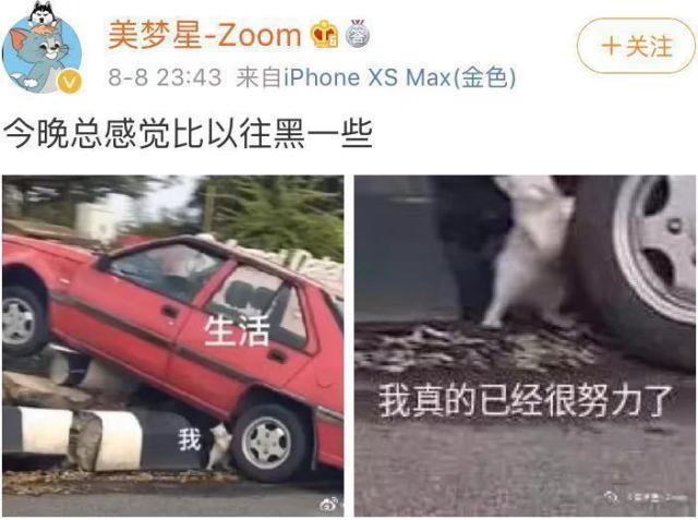 JDG引入新上野 上单ZOOM疑似心态爆炸要出走,粉丝:RNG欢迎你