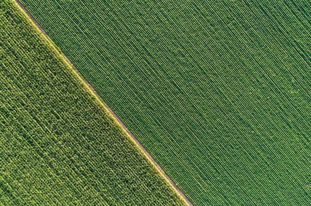 贱避贵、少避长、轻避重、去避来……看看古代版的交通规则