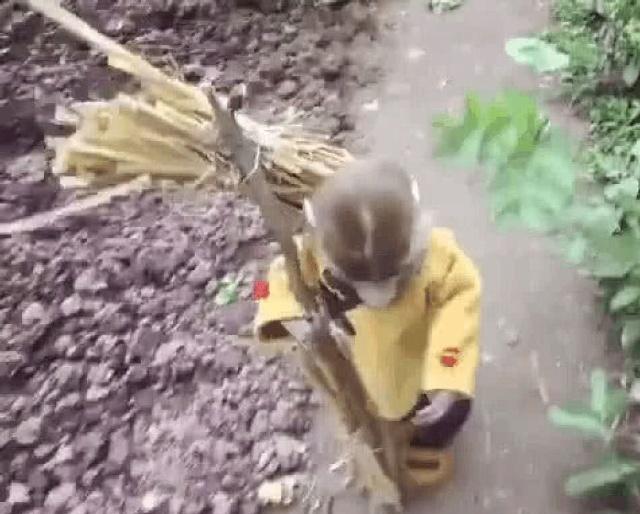 小伙养了一只小猴子当宠物，超可爱的样子令网友羡慕