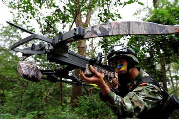现代军用弓弩到底有多厉害？！