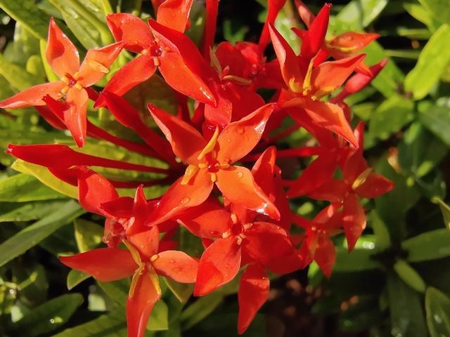 激进的进化者 4800万像素vivo X27评测