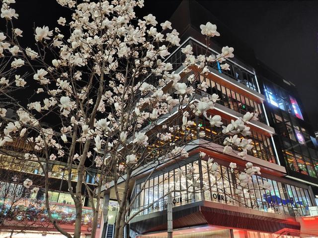 激进的进化者 4800万像素vivo X27评测