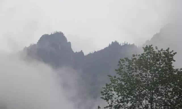 一帘幽瀑，溪涧叮咚，绵阳北川小寨子沟游记