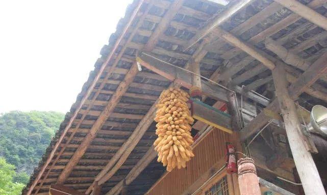 一帘幽瀑，溪涧叮咚，绵阳北川小寨子沟游记