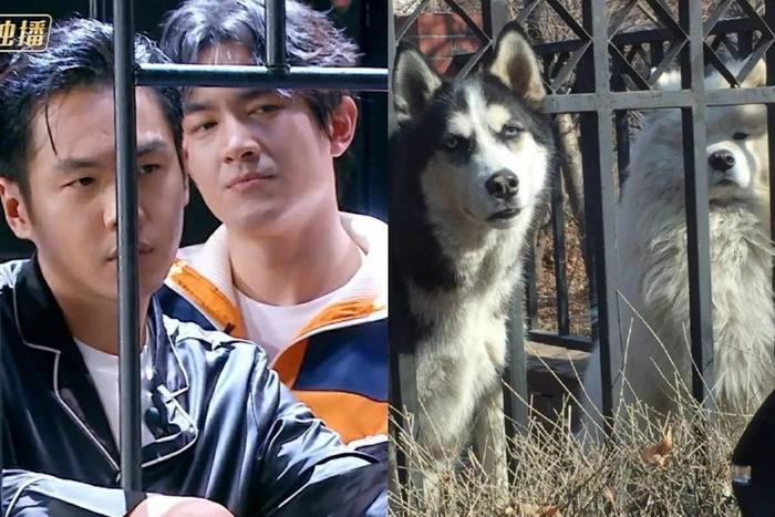 林更新，到底有多帅？