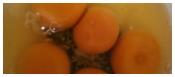 农家做法蛋包肉，五个土鸡蛋全用了，上锅蒸一蒸，简单又美味