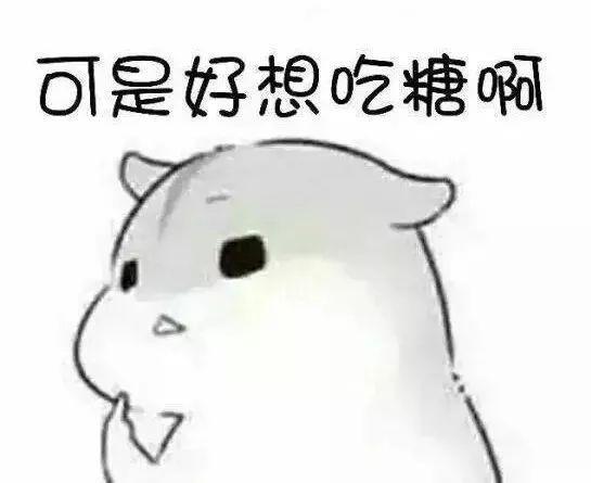 洪真英金钟国真的不能结婚吗?他们比心动的信号演出来的真多了!