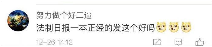 网友曝光地下吸猫场所，幕后产业链污秽不堪令人震惊！