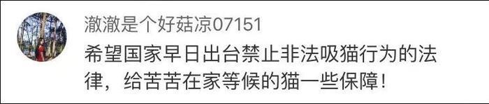 网友曝光地下吸猫场所，幕后产业链污秽不堪令人震惊！