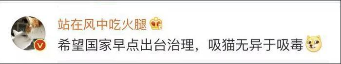 网友曝光地下吸猫场所，幕后产业链污秽不堪令人震惊！
