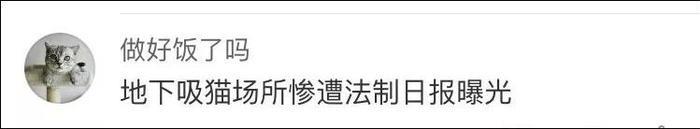 网友曝光地下吸猫场所，幕后产业链污秽不堪令人震惊！