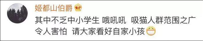 网友曝光地下吸猫场所，幕后产业链污秽不堪令人震惊！