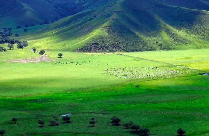 从深圳坐火车去青海,票价不到400元...美到怀疑人生!