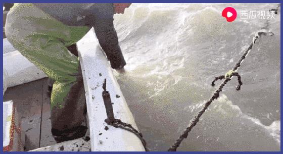 让几千万年轻人沉迷的赶海视频到底有多上头?