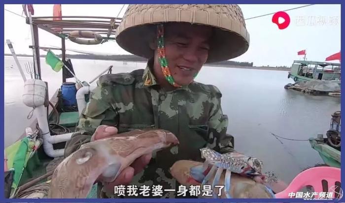 让几千万年轻人沉迷的赶海视频到底有多上头?