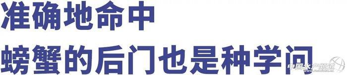 让几千万年轻人沉迷的赶海视频到底有多上头?