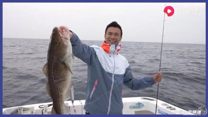 让几千万年轻人沉迷的赶海视频到底有多上头?