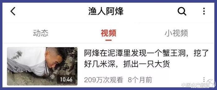 让几千万年轻人沉迷的赶海视频到底有多上头?