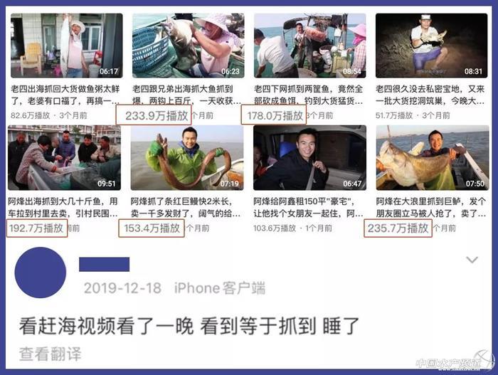 让几千万年轻人沉迷的赶海视频到底有多上头?