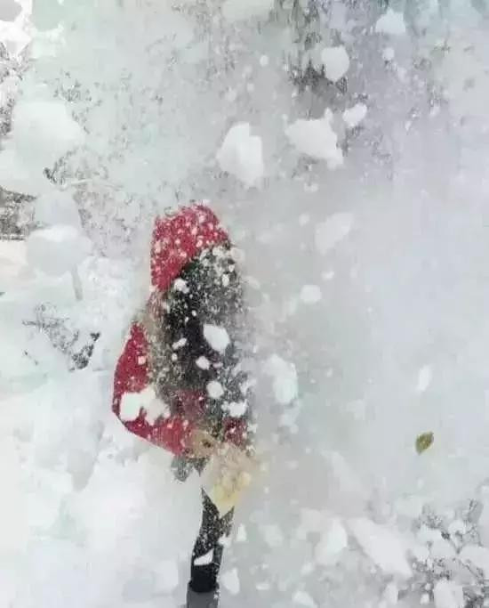 真!福建下雪啦!这个元旦很多地方都下大雪了!