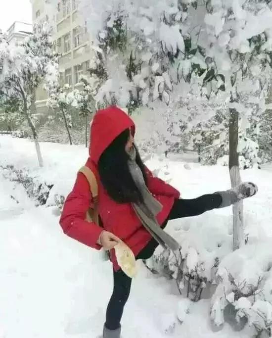 真!福建下雪啦!这个元旦很多地方都下大雪了!