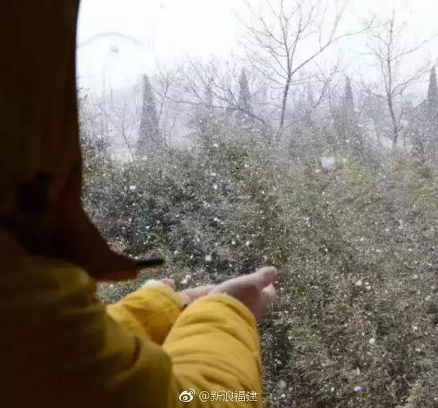 真!福建下雪啦!这个元旦很多地方都下大雪了!