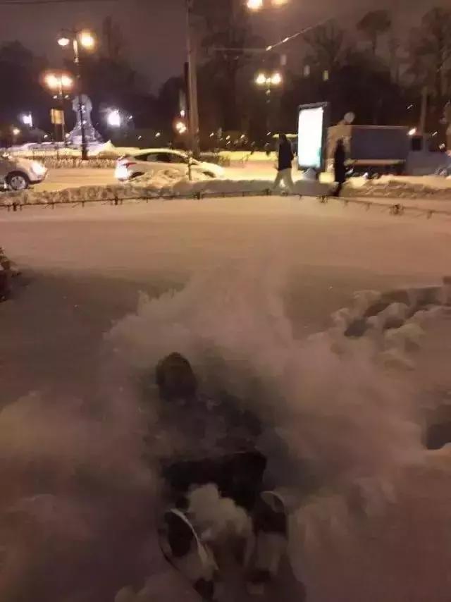 真!福建下雪啦!这个元旦很多地方都下大雪了!