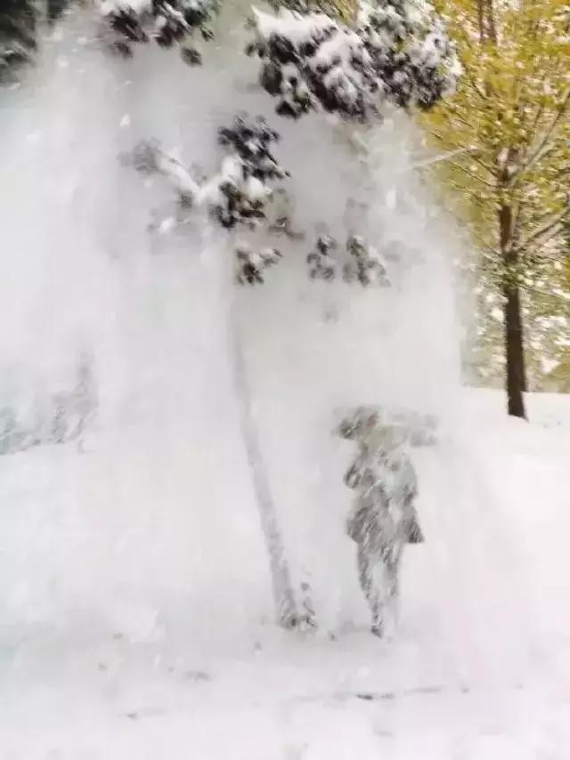 真!福建下雪啦!这个元旦很多地方都下大雪了!