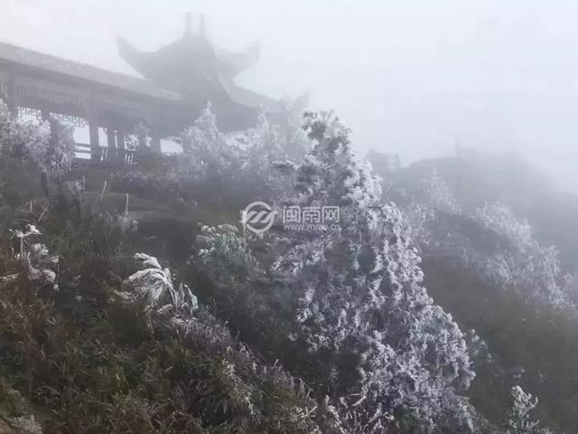 真!福建下雪啦!这个元旦很多地方都下大雪了!