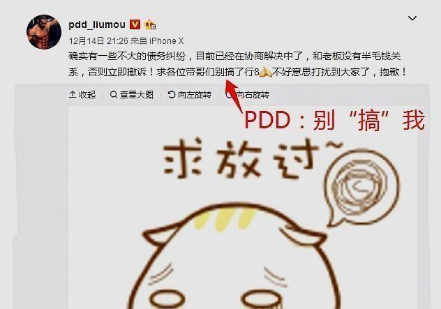 PDD起诉熊猫直播再起波澜:事发后公开亮相求“别搞”!