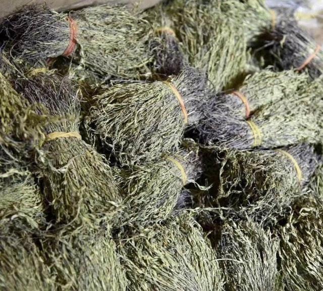 个头不足10厘米，市价800元一斤，野生不多见，见过都说奢侈