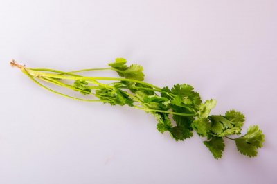 ​香菜又叫什么名字