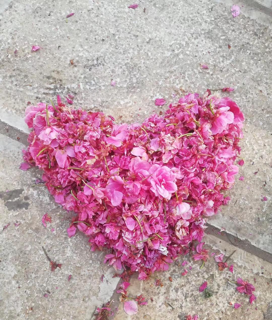 舍命产子网红去世又是一起以母爱之名的“绑架”事件