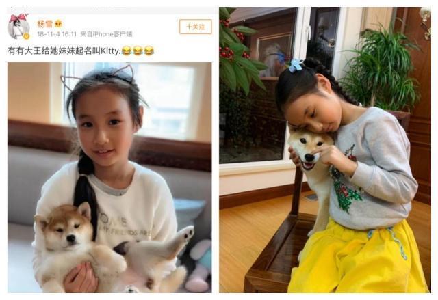 杨雪隐婚10年倒追丑老公，如今10岁女儿漂亮成翻版小杨雪